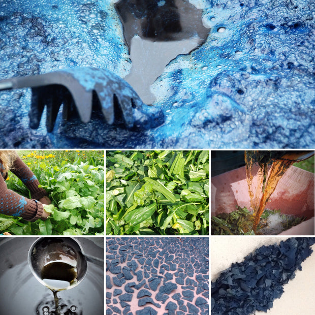 Woad processing step by step