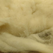 Close-up of beige wool fibers