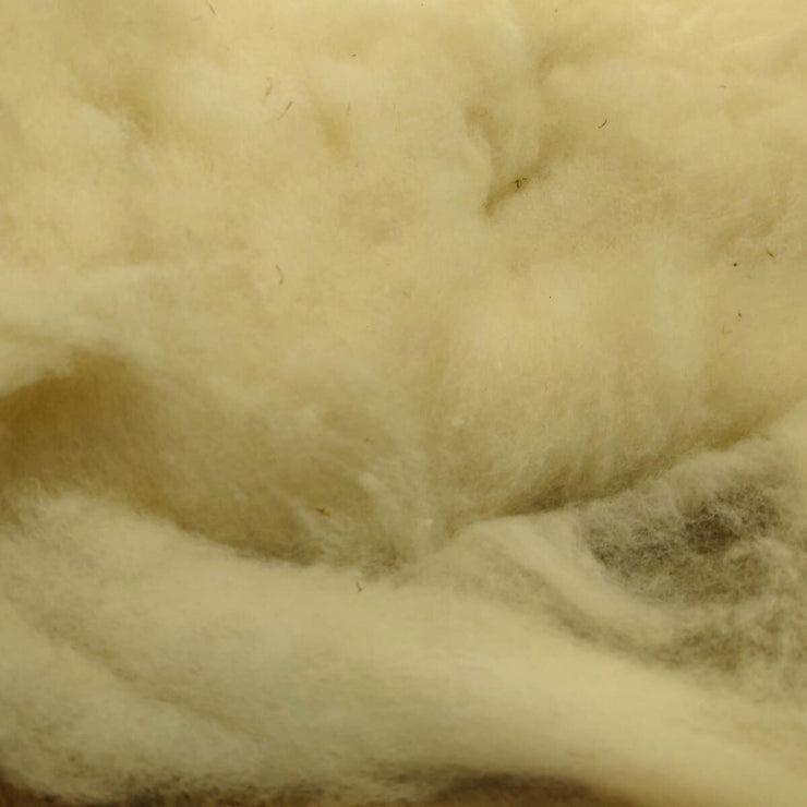 Close-up of beige wool fibers