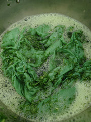 dyeing a scarf in woad leaves