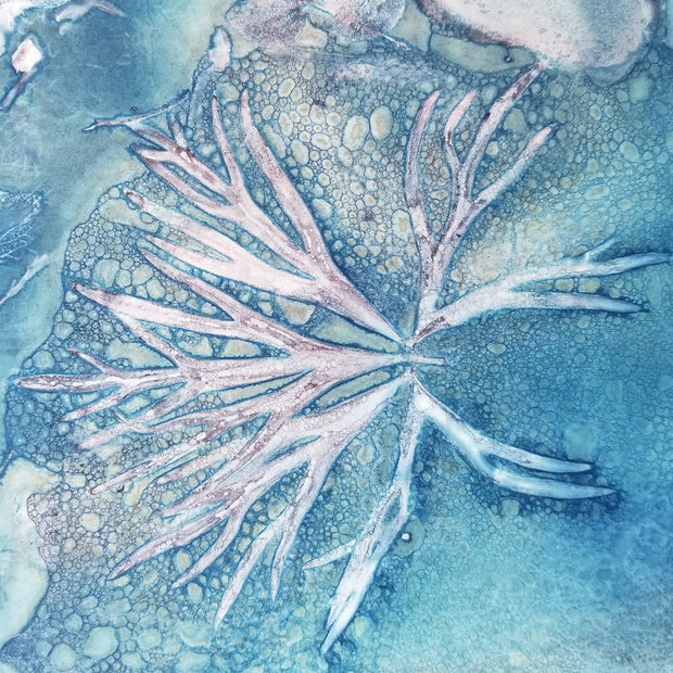 Seaweed print on a textured blue background
