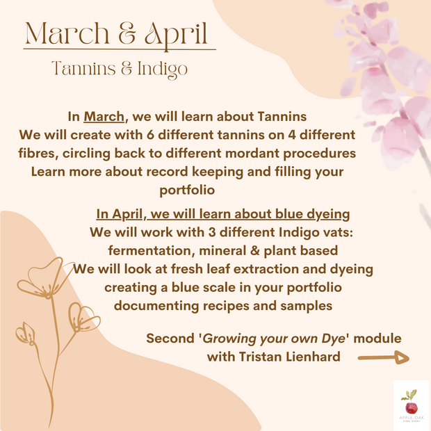 A professional one year online course in Natural Dyeing 2024 march to april