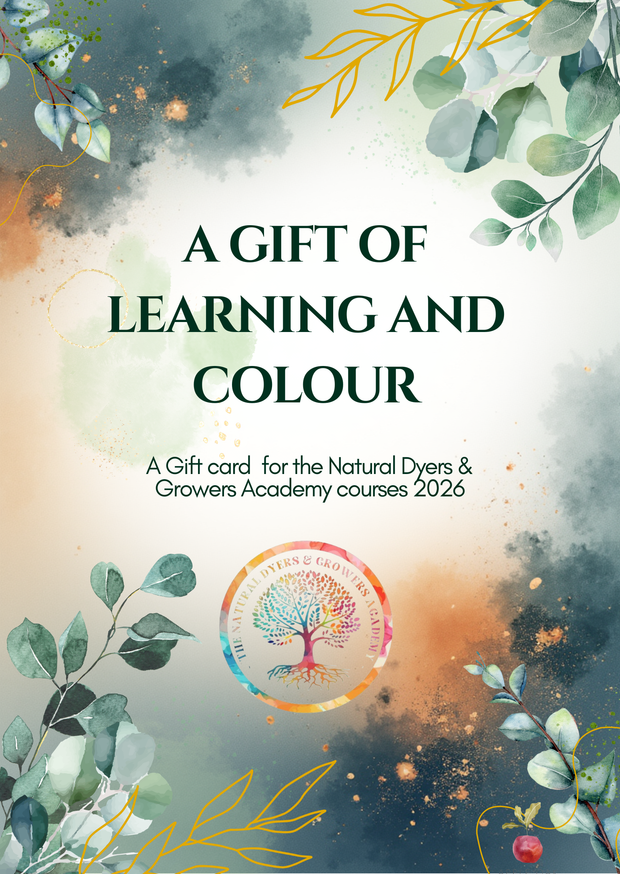 🎁 NDG Academy Gift Cards