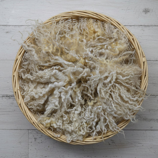 Mountain Sheep Wool Locks – Natural Fibre Locks for Felting – AppleOak ...