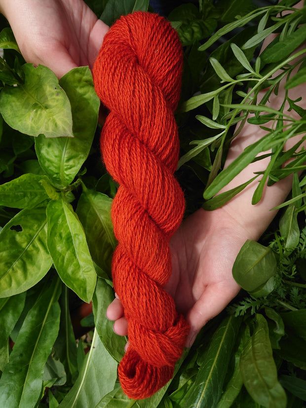 Ériu Sionnach (Fox)~ Irish yarn dyed with Madder roots