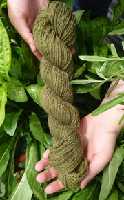 Ériu Caonach (Moss) ~ Irish yarn dyed with organic sage