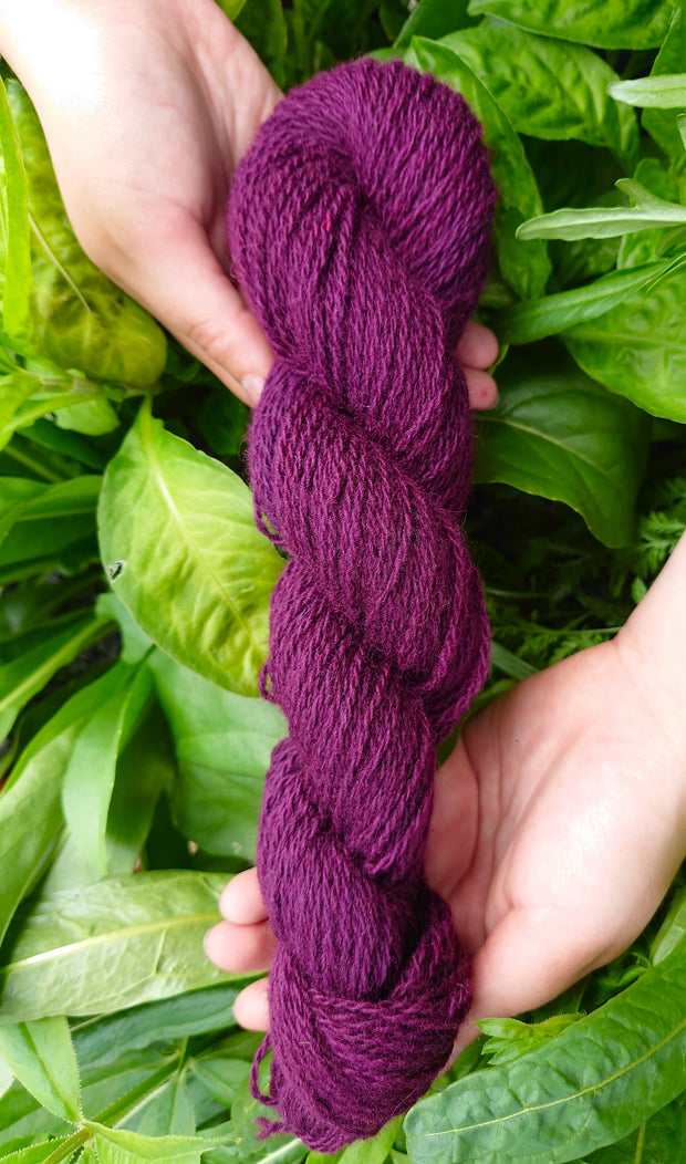 Ériu Corcra (purple)~ Irish yarn dyed with organically grown cochineal