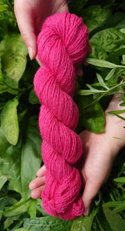 Ériu Bándearg (Pink) ~ Irish yarn dyed with organically grown cochineal bugs