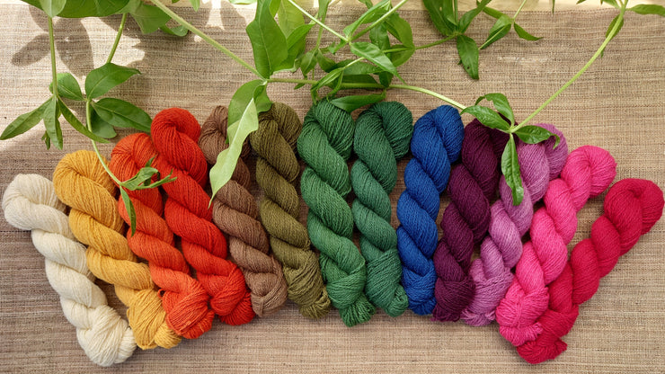 Eriu yarn naturally dyed colour palette in the shade