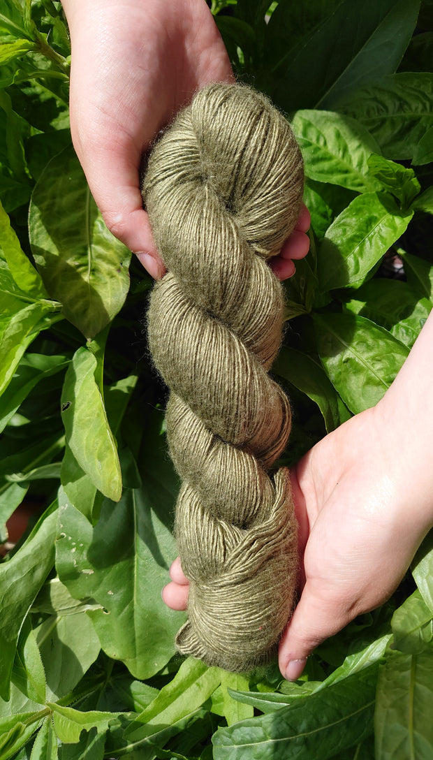 Sioda wool silk yarn dyed with sage