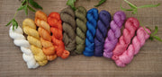 Síoda ~ Merino Silk yarn 12 colours