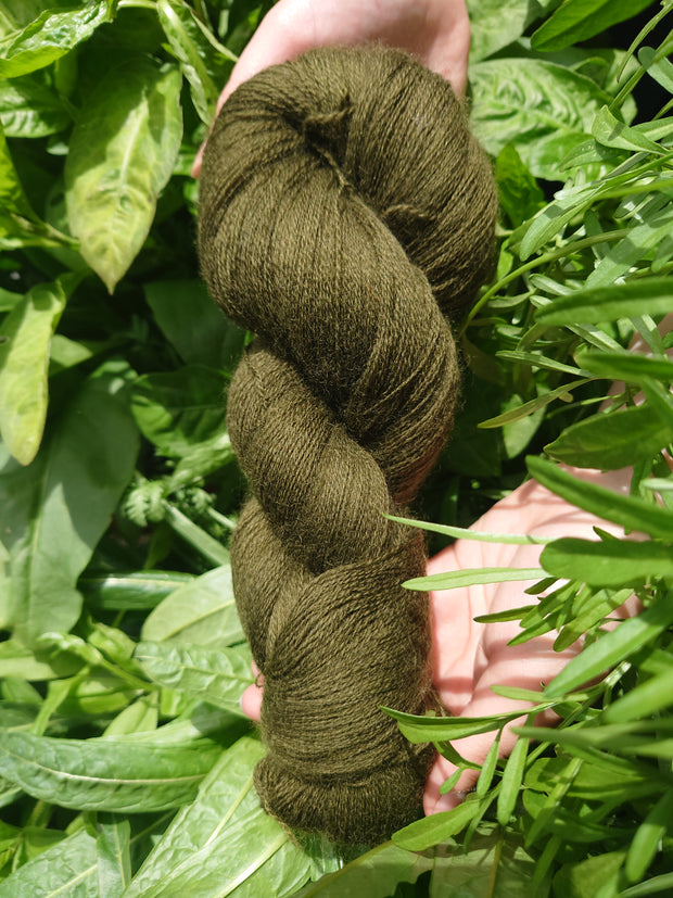 Lása Caonach (Moss)~ Wool yarn naturally dyed with organic sage