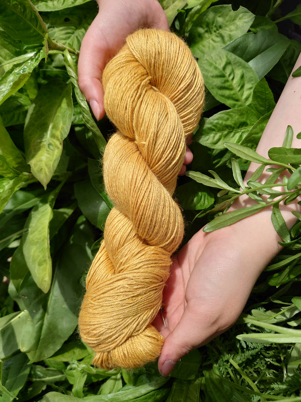 Turin Buí (yellow) ~ Wool/Silk/Ramie yarn dyed with organic buckthorn bark