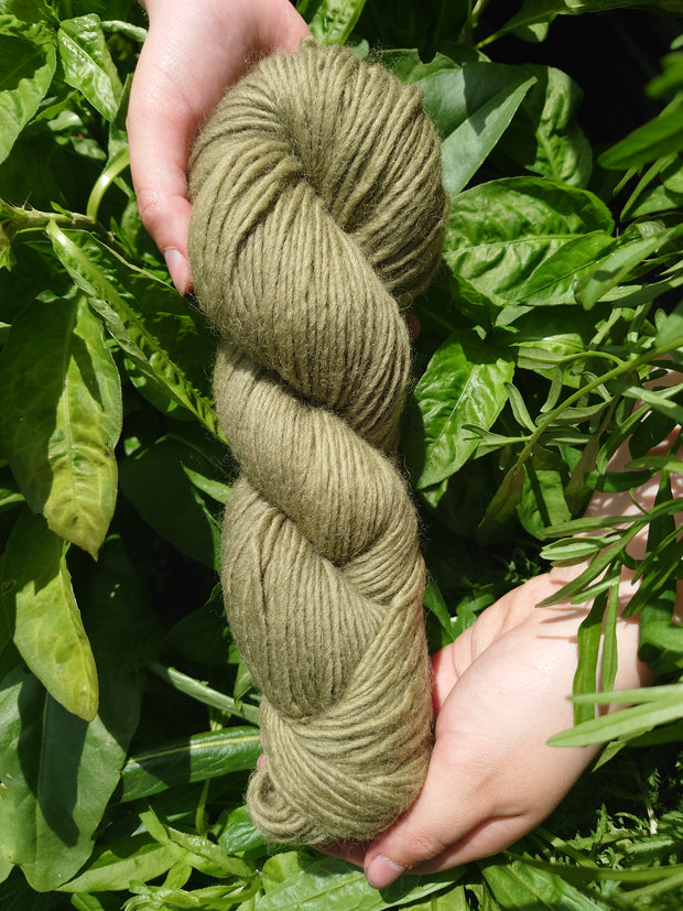 Corrie Caonach (Moss)~ Wool yarn naturally dyed with organic sage