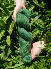 Glean (glen) corrie single ply wool yarn naturally dyed green with indigo and birch leaves