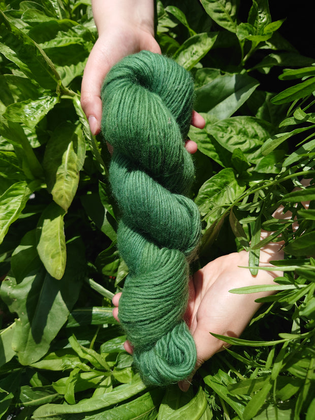 Glean (glen) corrie single ply wool yarn naturally dyed green with indigo and birch leaves