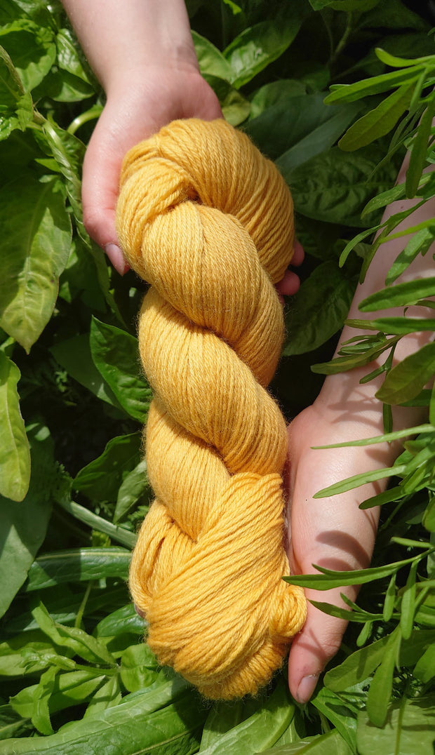 yellow yarn dyed with buckthorn bark