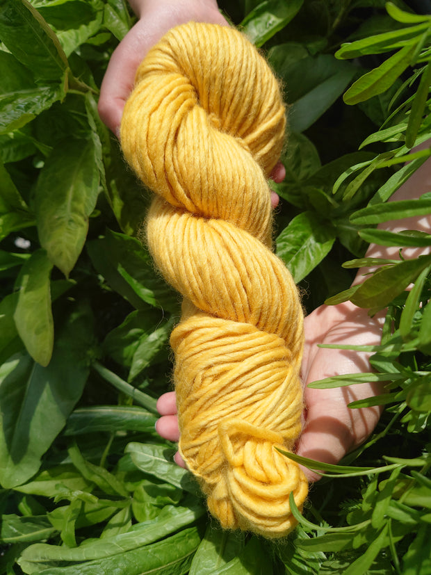 STOCKHOLM Buí (Yellow) ~ Naturally dyed with organic buckthorn bark