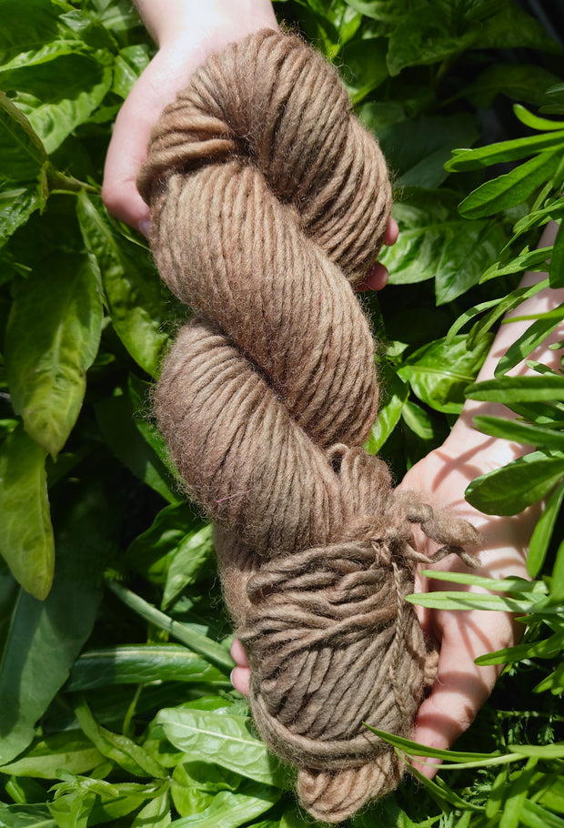 STOCKHOLM Gall darach (Oak Gall)~ yarn dyed with oak galls, organic buckthorn, madder and iron