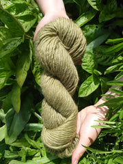 STOCKHOLM Caonach (Moss)~ Naturally dyed with organic sage