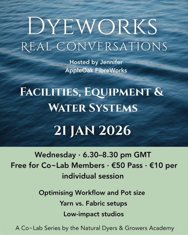 Promotional flyer for Dyeworks event with water background