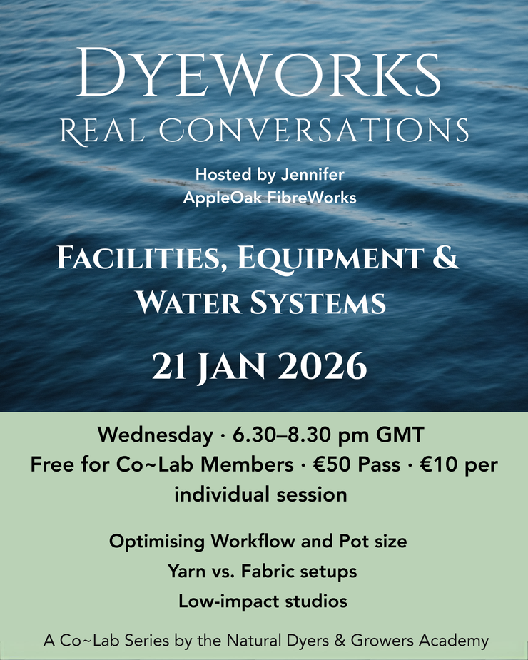 Promotional flyer for Dyeworks event with water background