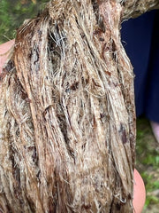 retted nettle fibre