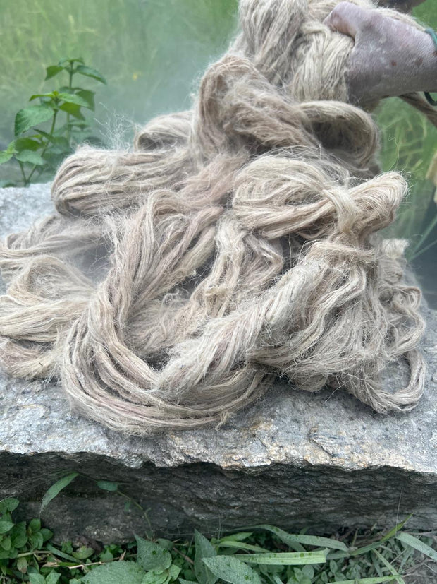preparing dried nettle fibre
