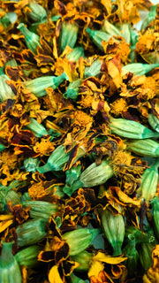 AFRICAN MARIGOLD (Tagetes patula) ~ Organic dried Flowers