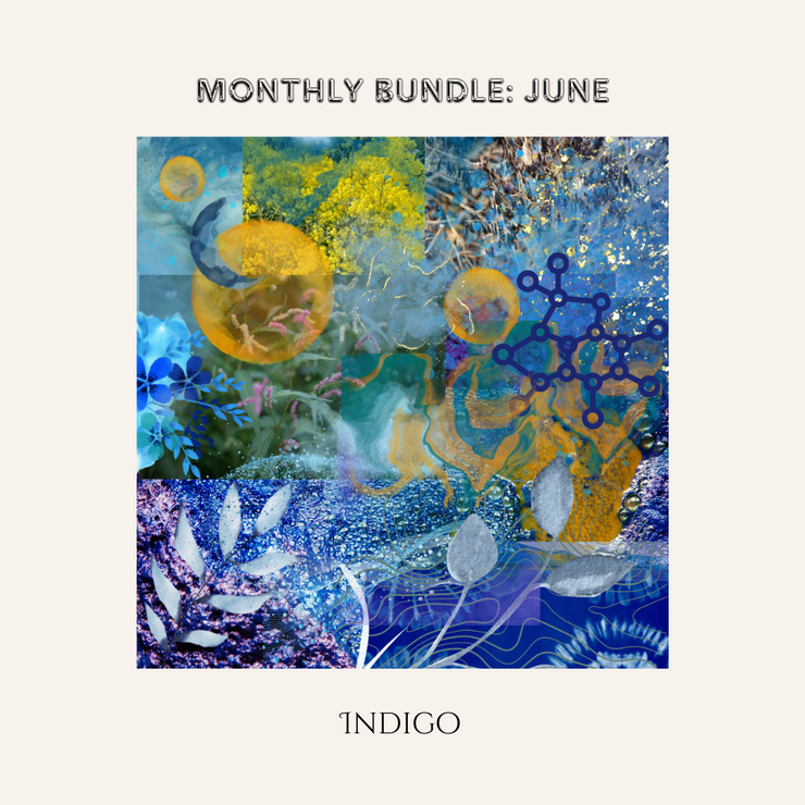 JUNE BUNDLE INDIGO ~ Professional Dyers Course