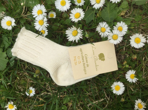 lucia cotton baby sock on grass with daisy flowers