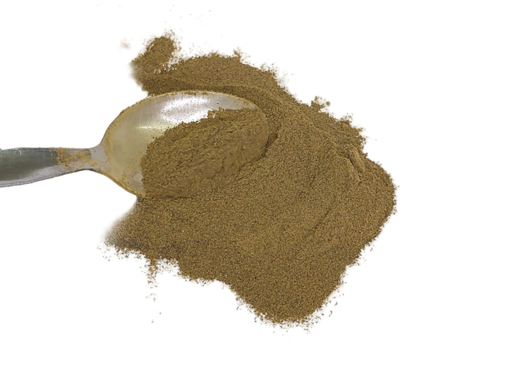 Spoonful of Solidago extract brown powder on a white background