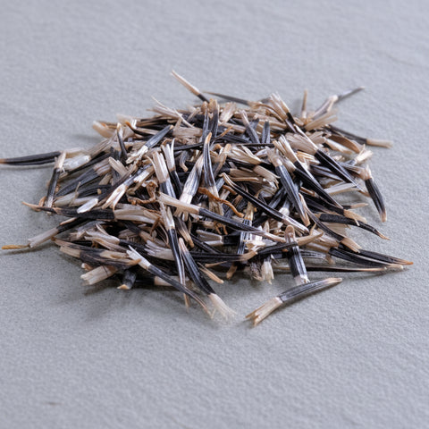 african marigold seed to flower African Marigold Seeds TAGETES ERECTA – AppleOak FibreWorks