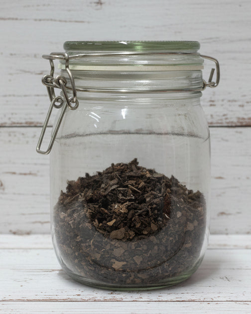 Shell Containers Dye Powder ORGANIC WALNUT SHELLS DYE ~ Brown – AppleOak FibreWorks