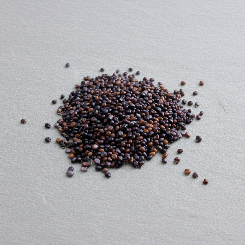 weld plant seeds Biennial Weld Seeds RESEDA LUTEOLA – AppleOak FibreWorks