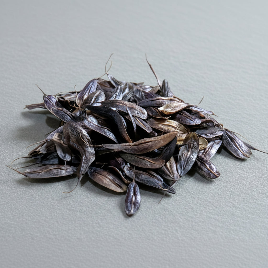 SEEDS ~ Grow your own Dye Plants – AppleOak FibreWorks