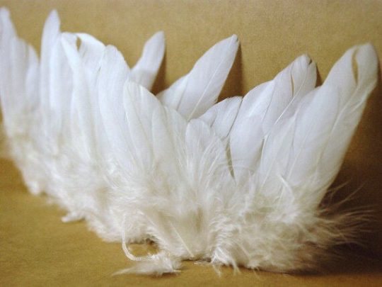 ANGEL WINGS ~ made from real feathers