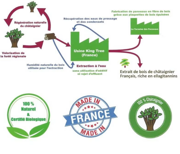 Local chestnut extract production circle