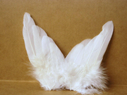 ANGEL WINGS ~ made from real feathers