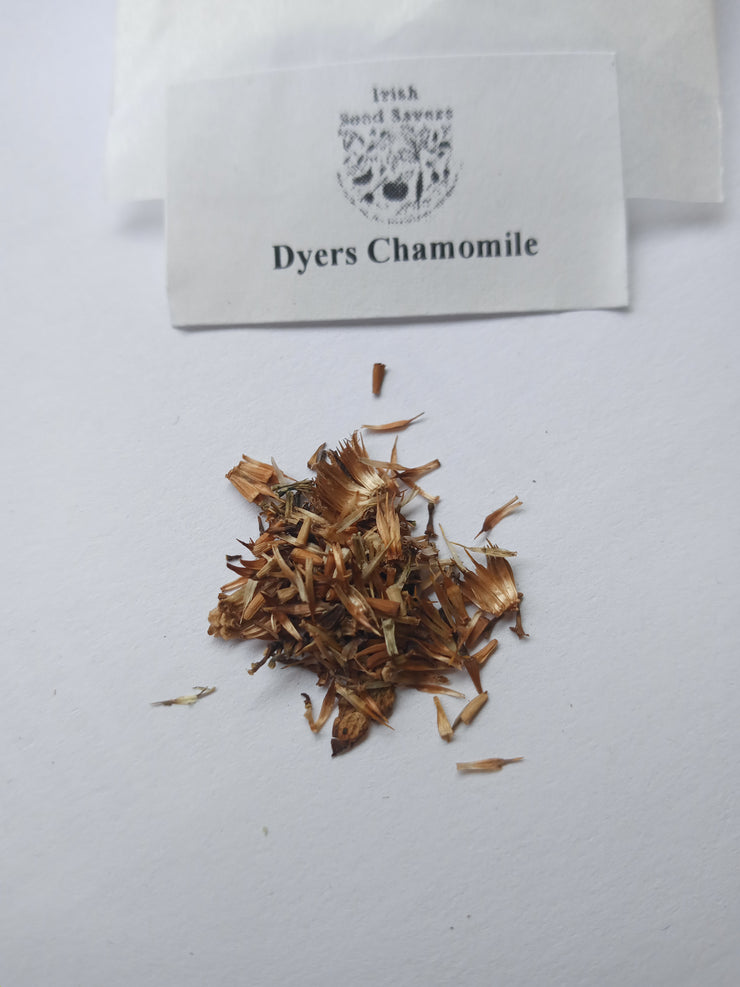 Organic Dyer's Chamomile Seeds