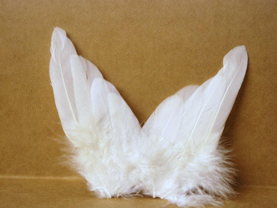 Angel wings made from real feathers single