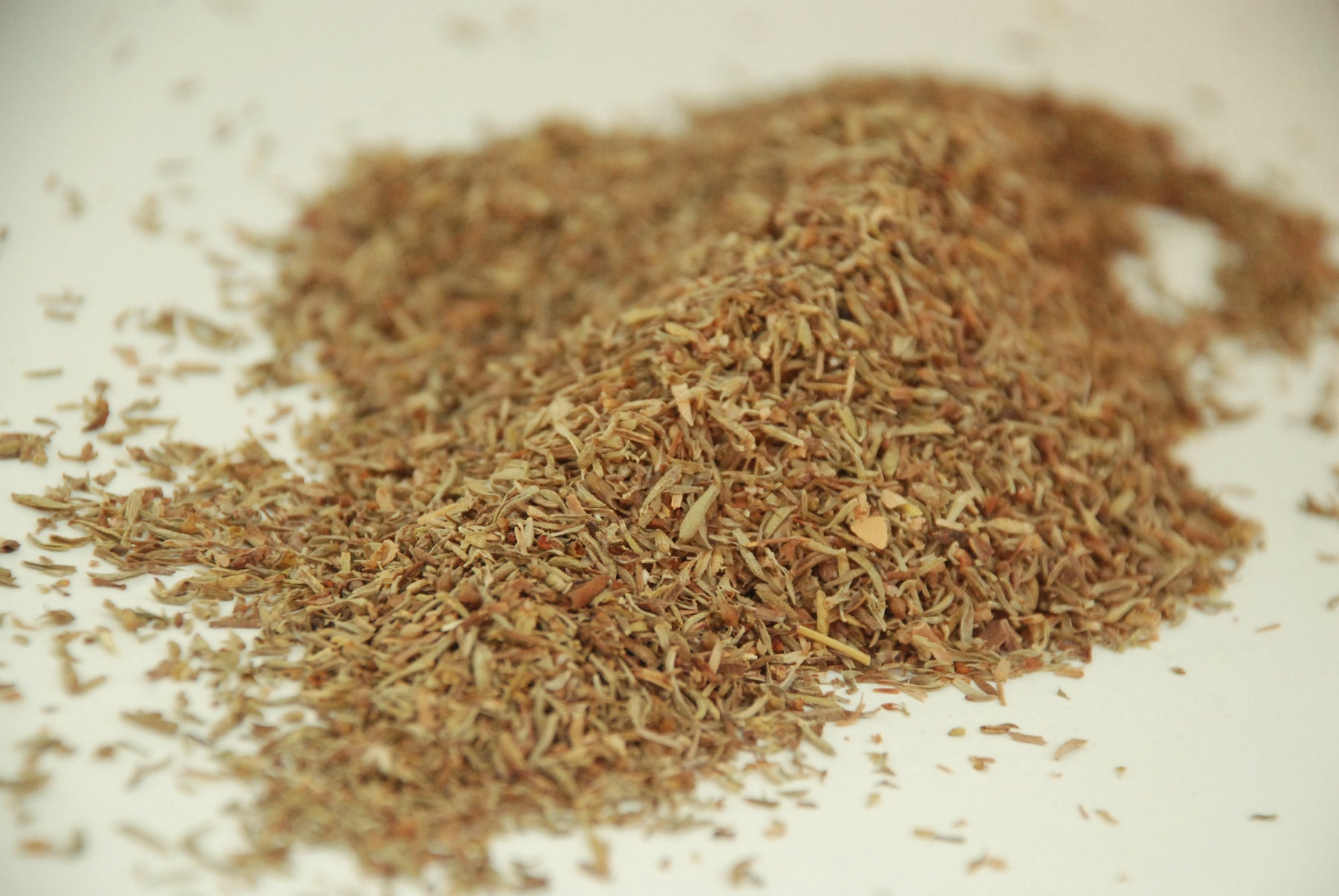 Orange Thyme - Thyme Seed